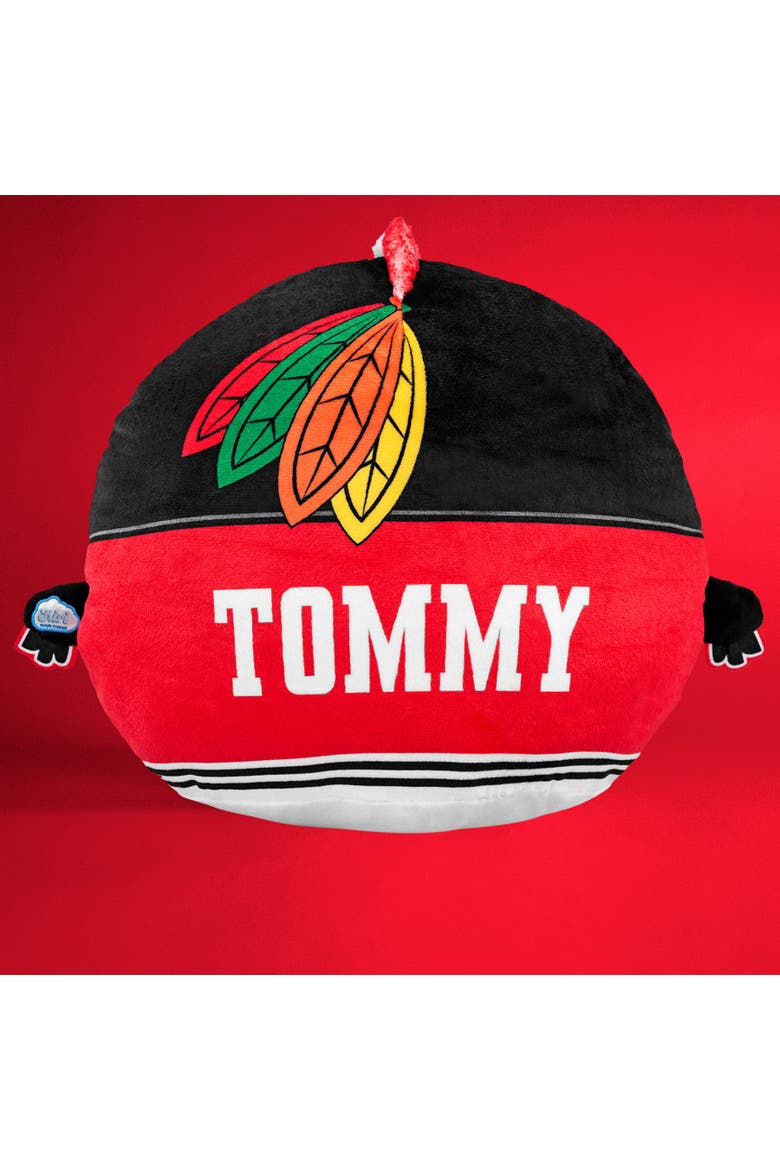Chicago Blackhawks Tommyhawk 12" Kiri Cloud Plushie, Alternate, color, None