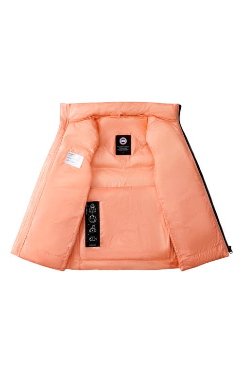 Canada Goose Kids' Crofton Water Repellent Packable Quilted 750 Fill Power Down Vest In Orange