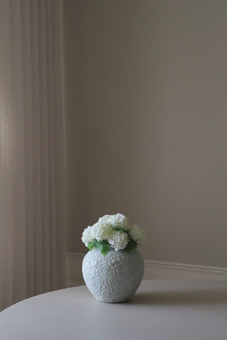 White Mini Snowball Hydrangea, Alternate, color, White