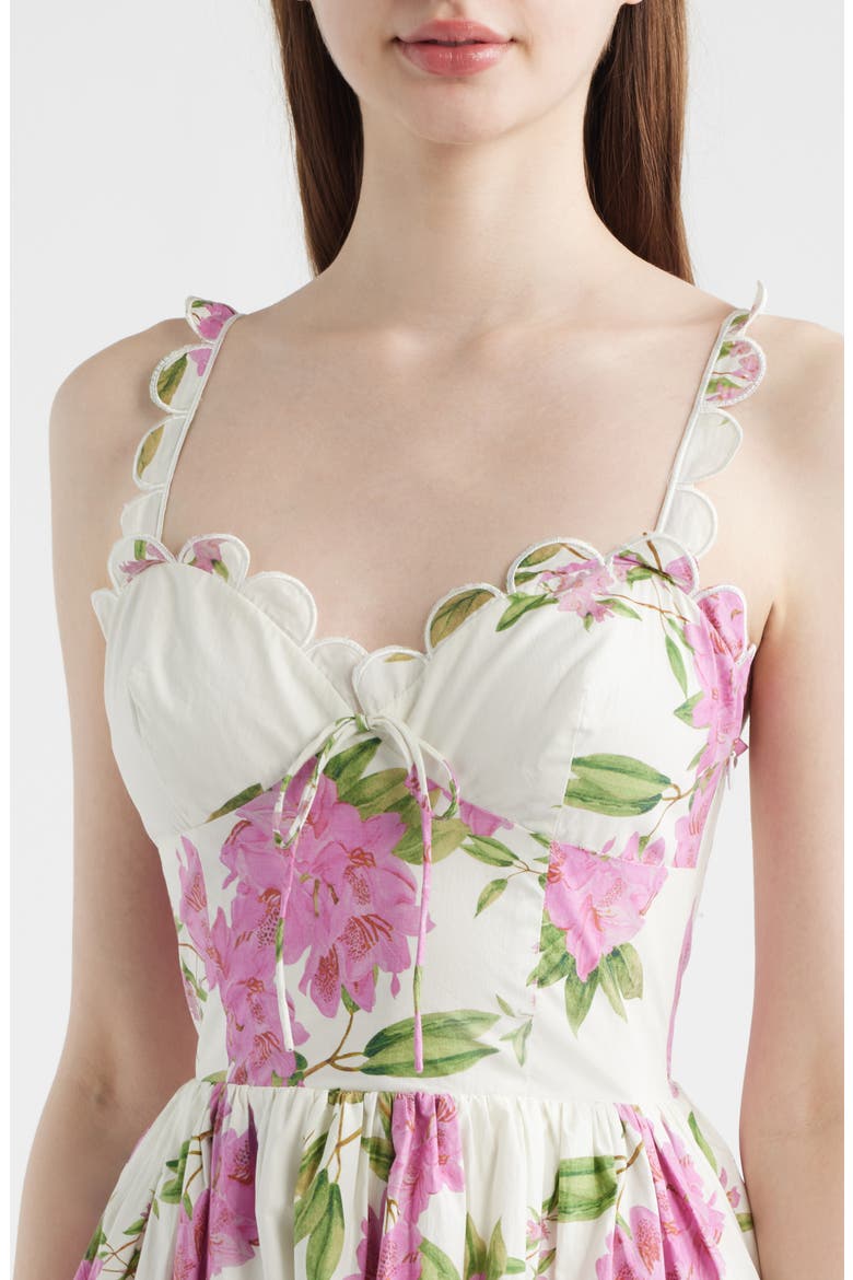 Esther Floral Print Sleeveless Midi Dress, Alternate, color, WHITE PINK SAGE