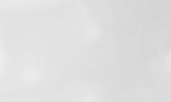 selected WHITE