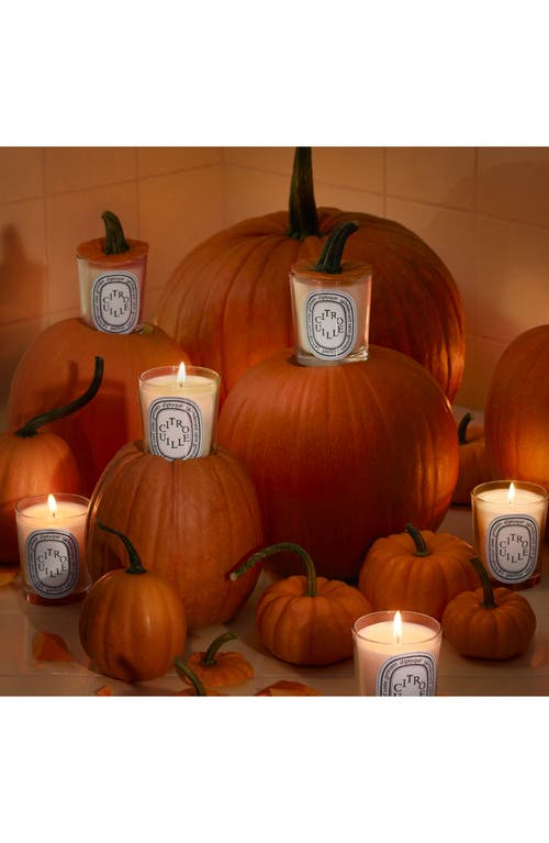 Diptyque Citrouille (pumpkin) Classic Candle In Transparent