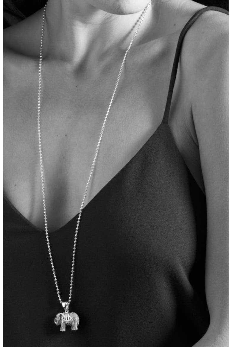 Rare Wonders Long Talisman Necklace, Alternate, color, SILVER/ ELEPHANT