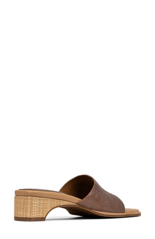 Donald Pliner Cascade Mule Sandal In Tobacco