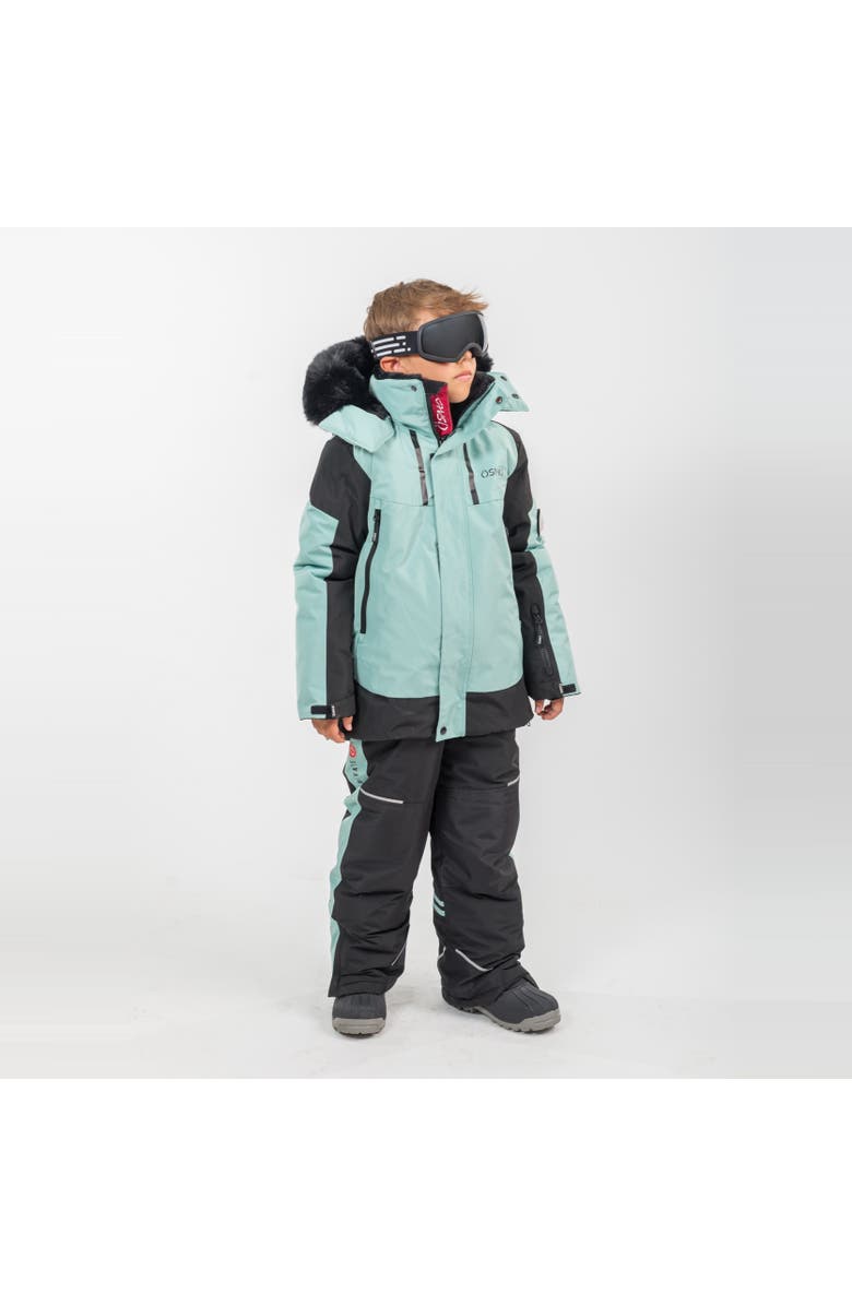 ÖSNO Blake Performance Snowsuit Jacket and Snowpants, Alternate, color, With Black Fur