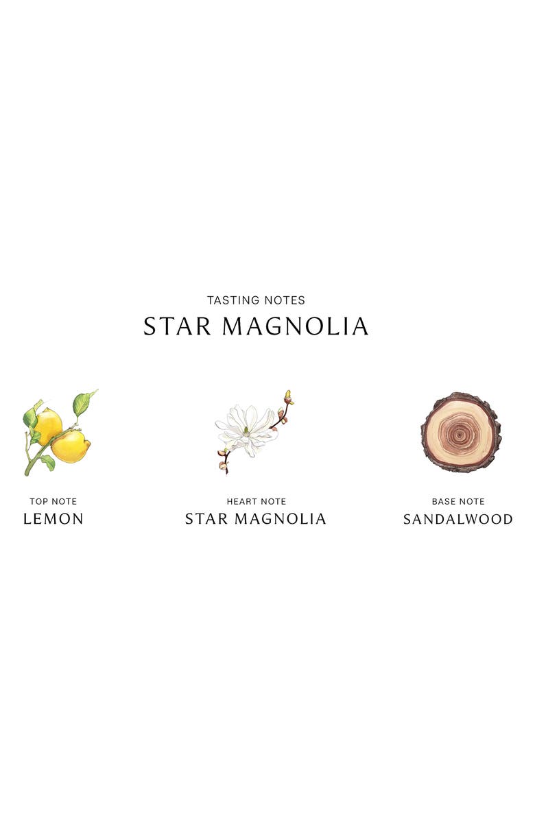 Jo Malone London<sup>™</sup> Star Magnolia Cologne, Alternate, color, 