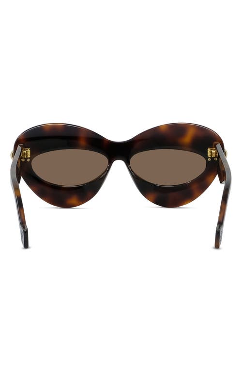Loewe Double Frame 67mm Oversize Cat Eye Sunglasses In Brown