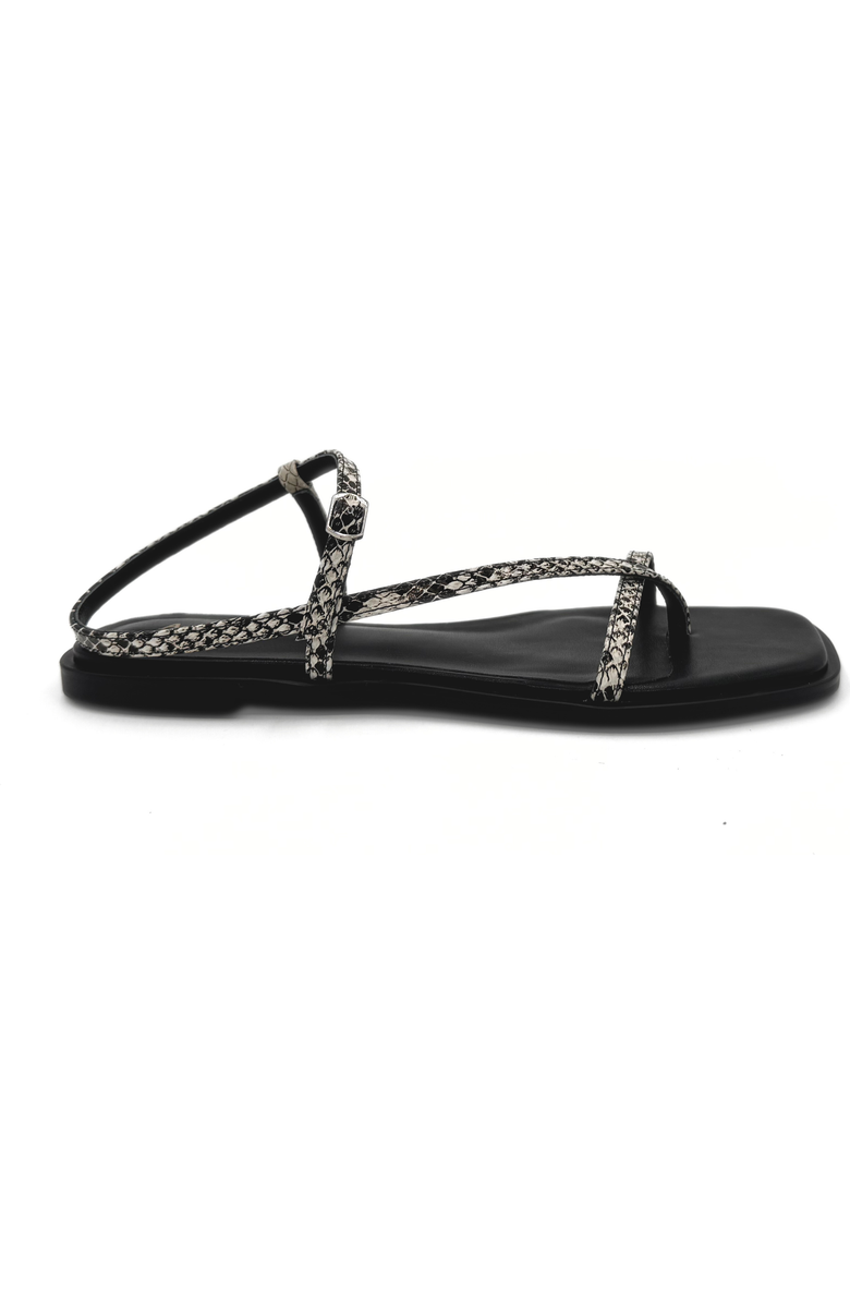 Amie Rafa Maxy Asymmetric T-Strap Sandal, Main, color, Snake