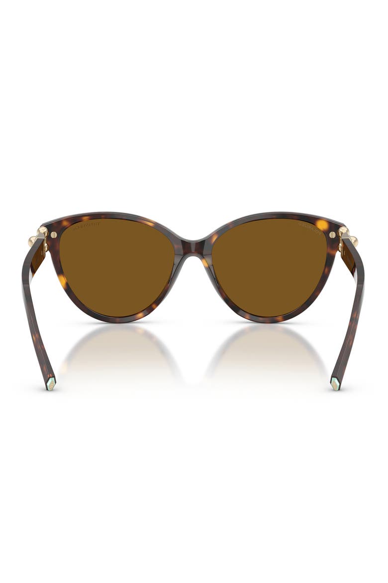 56mm Polarized Cat Eye Sunglasses, Alternate, color, HAVANA / DARK BROWN POLAR