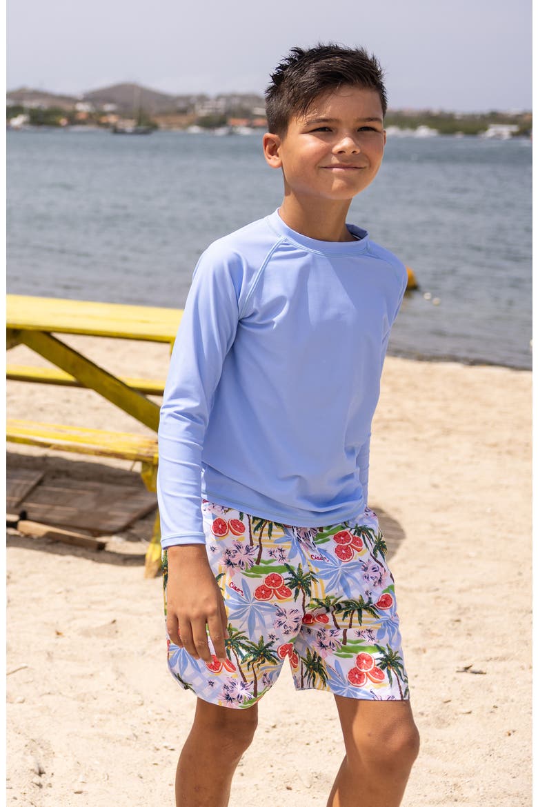 Kids' Seaside Long Sleeve UPF 50+ Rashguard, Alternate, color, BLUE