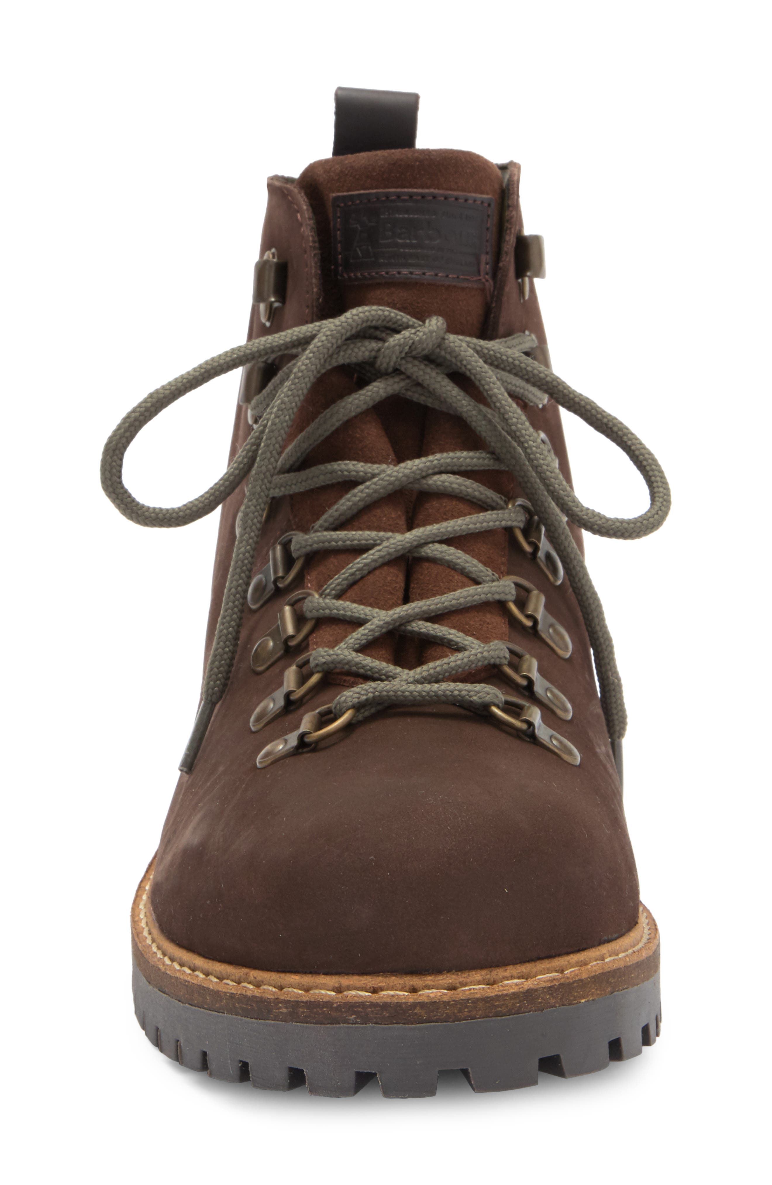 Wainwright Hiking Boot, Alternate, color, CHOCOLATE
