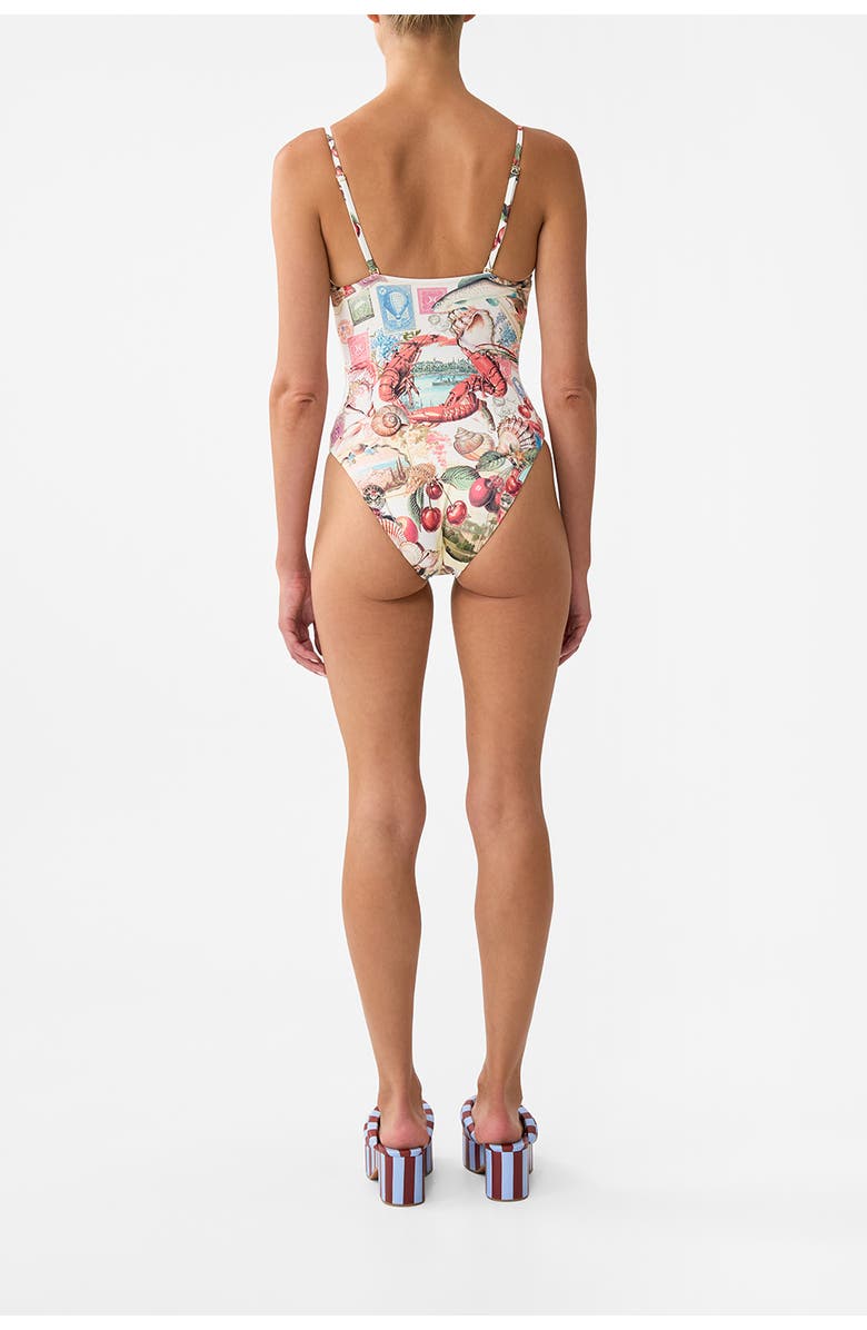 Camilla Ruched Cup Underwire One Piece W Tie Front Notes From The Road, Alternate, color, Notes From The Road