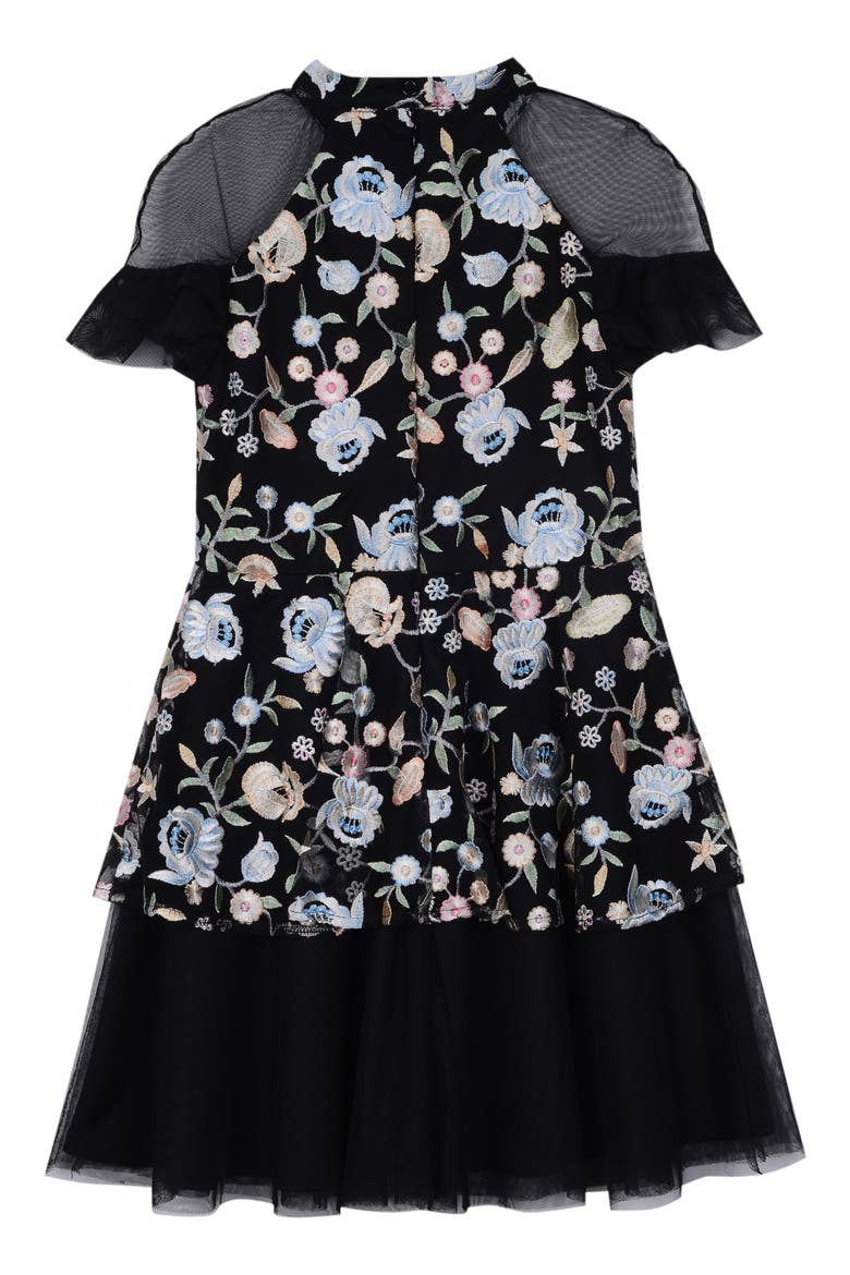 Embroidered Mesh Dress, Alternate, color, BLACK