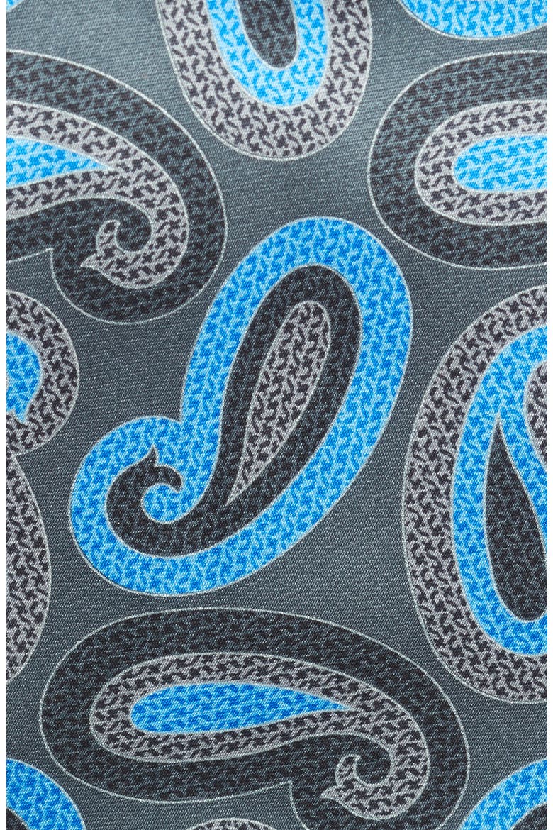 Ermenegildo Zegna Paisley Silk Tie, Alternate, color, GREY