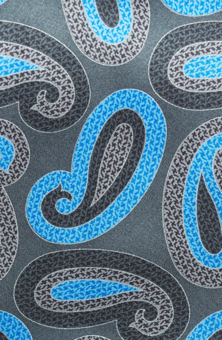 ZEGNA Ermenegildo Zegna Paisley Silk Tie, Alternate, color,