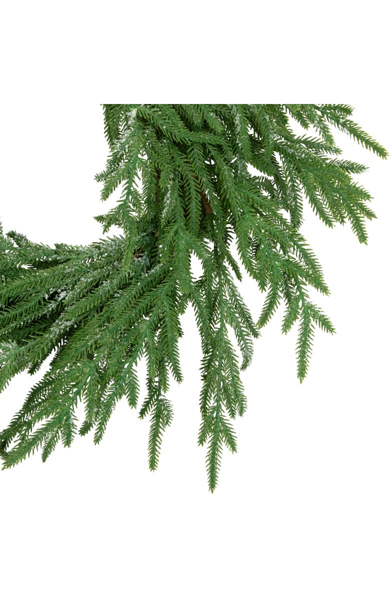 Northlight Frosted Norfolk Pine Artificial Christmas Wreath - 20" - Unlit, Alternate, color, Green