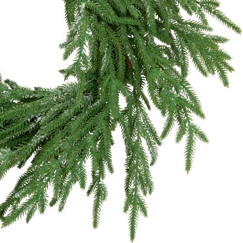 Northlight Frosted Norfolk Pine Artificial Christmas Wreath In Green