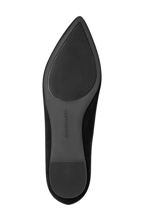 BANDOLINO BANDOLINO STARRY POINTED TOE FLAT