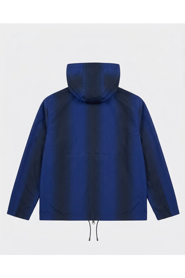 Hooded Zip Jacket, Alternate, color, Blue