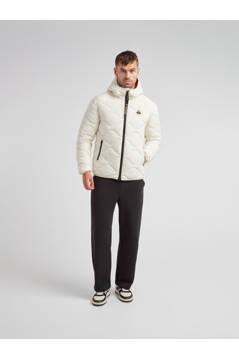 Orb1T Long Sleeve Hooded Jacket, Alternate, color, VINTAGE WHITE