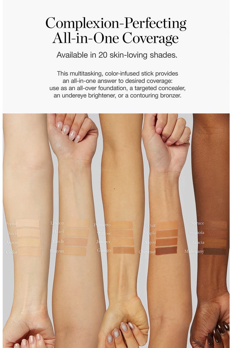 Sculpted Complexion Foundation Stick, Alternate, color, BANYAN