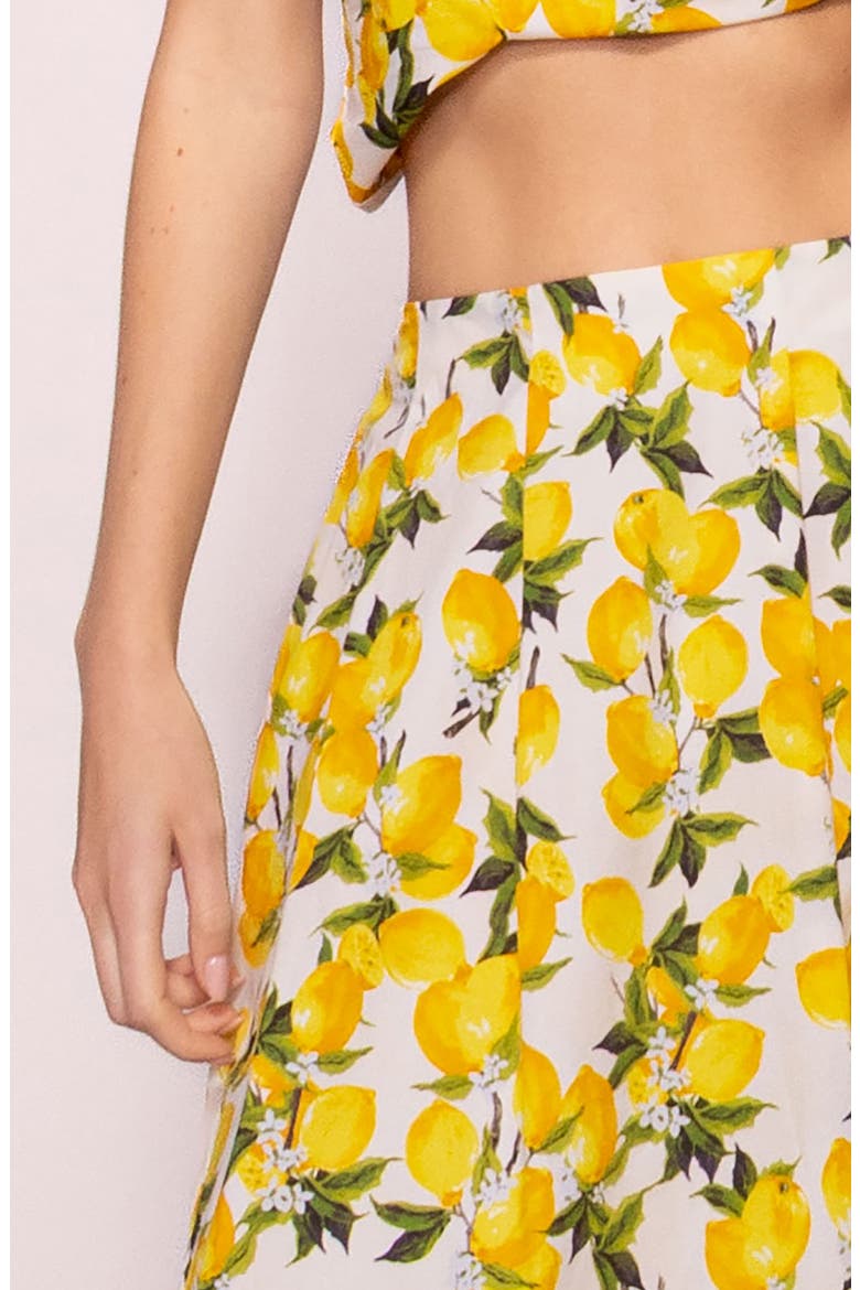 Lemon Poplin A-Line Maxi Skirt, Alternate, color, LEMON PRINT