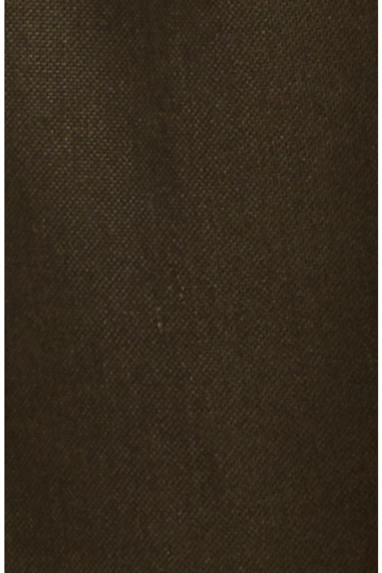 Pleated Wool, Cashmere & Silk Pants, Alternate, color, GREEN WOOD