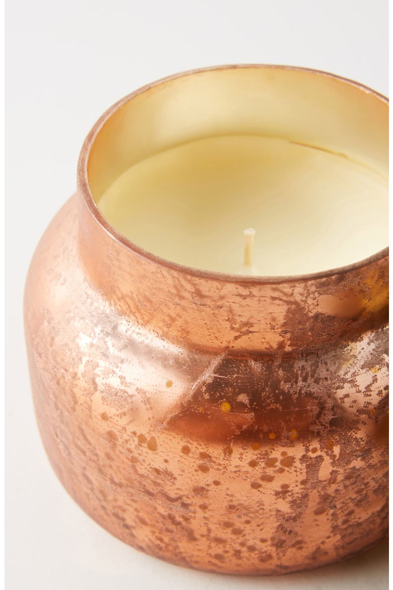 Capri Blue Pumpkin Scented Feathered Jar Candle, Alternate, color, PUMPKIN