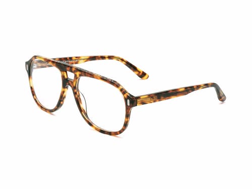 Caddis Root Cause Analysis | Reading Glasses In Gold