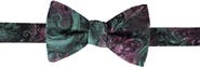 Trafalgar The Arcane Storm Silk Novelty Bow Tie