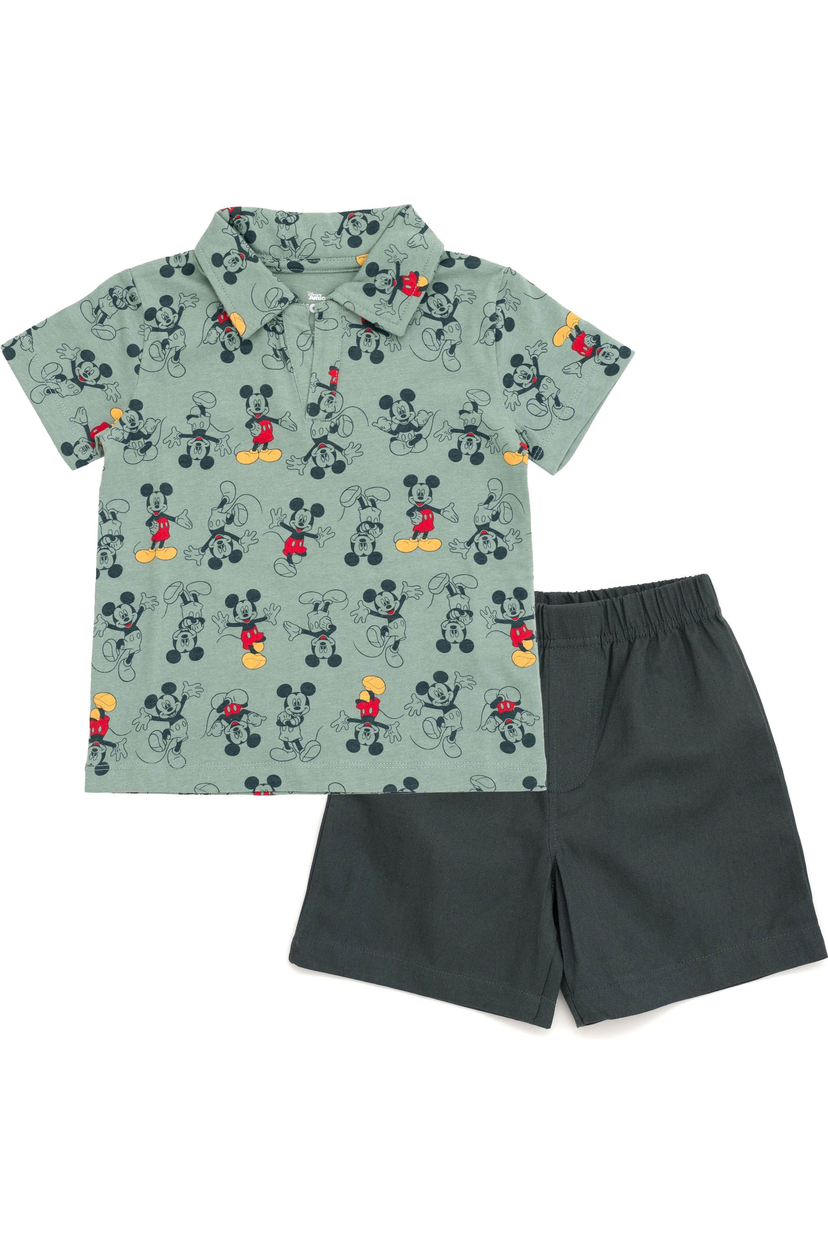 selected Mickey Mouse Sage