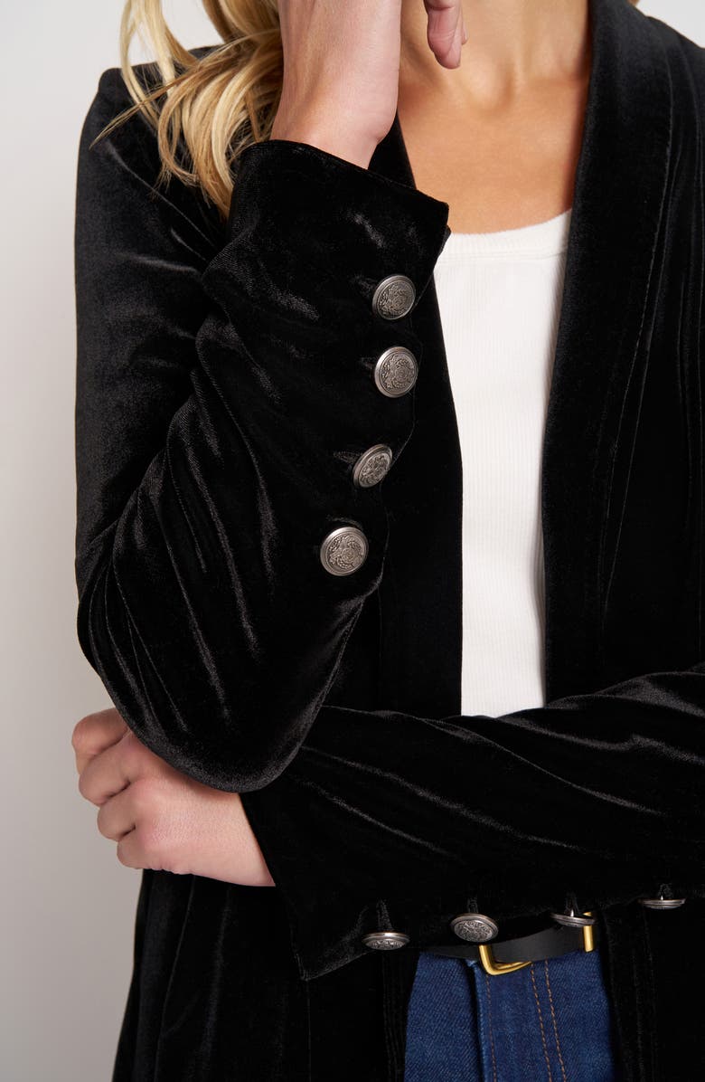 matty m. Velvet Blazer Jacket, Alternate, color, Black