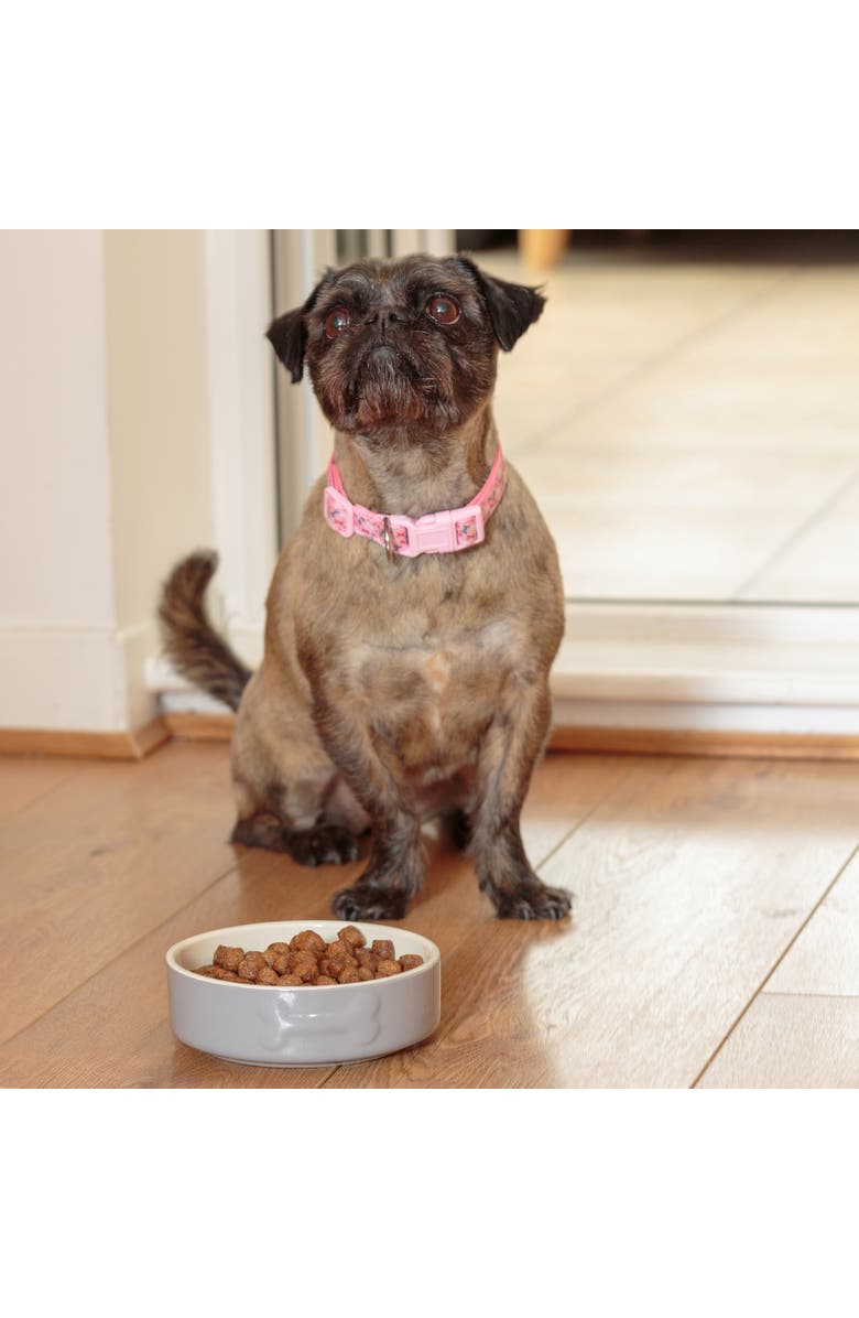 MASON CASH Embossed 17oz Bone Dog Food and Water Bowl, Alternate, color,