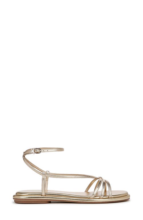 Circus Ny By Sam Edelman Olana Strappy Flat Sandals In Gold Leaf