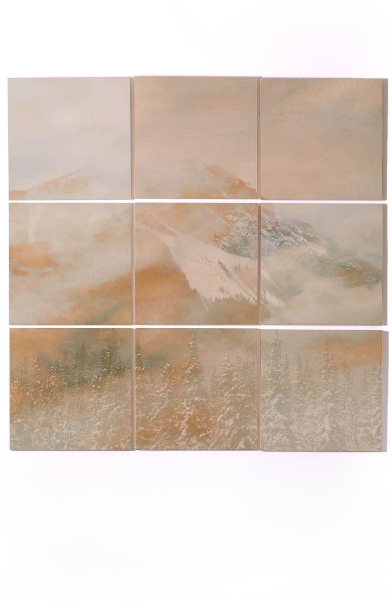 Deny Designs Golden Banff 9-Piece Wood Wall Mural, Main, color,