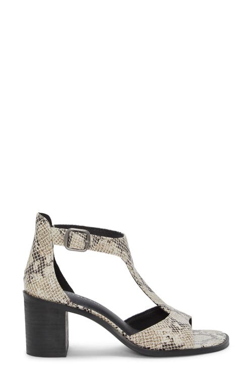 Lucky Brand Sabeni Sandal In Animal Print