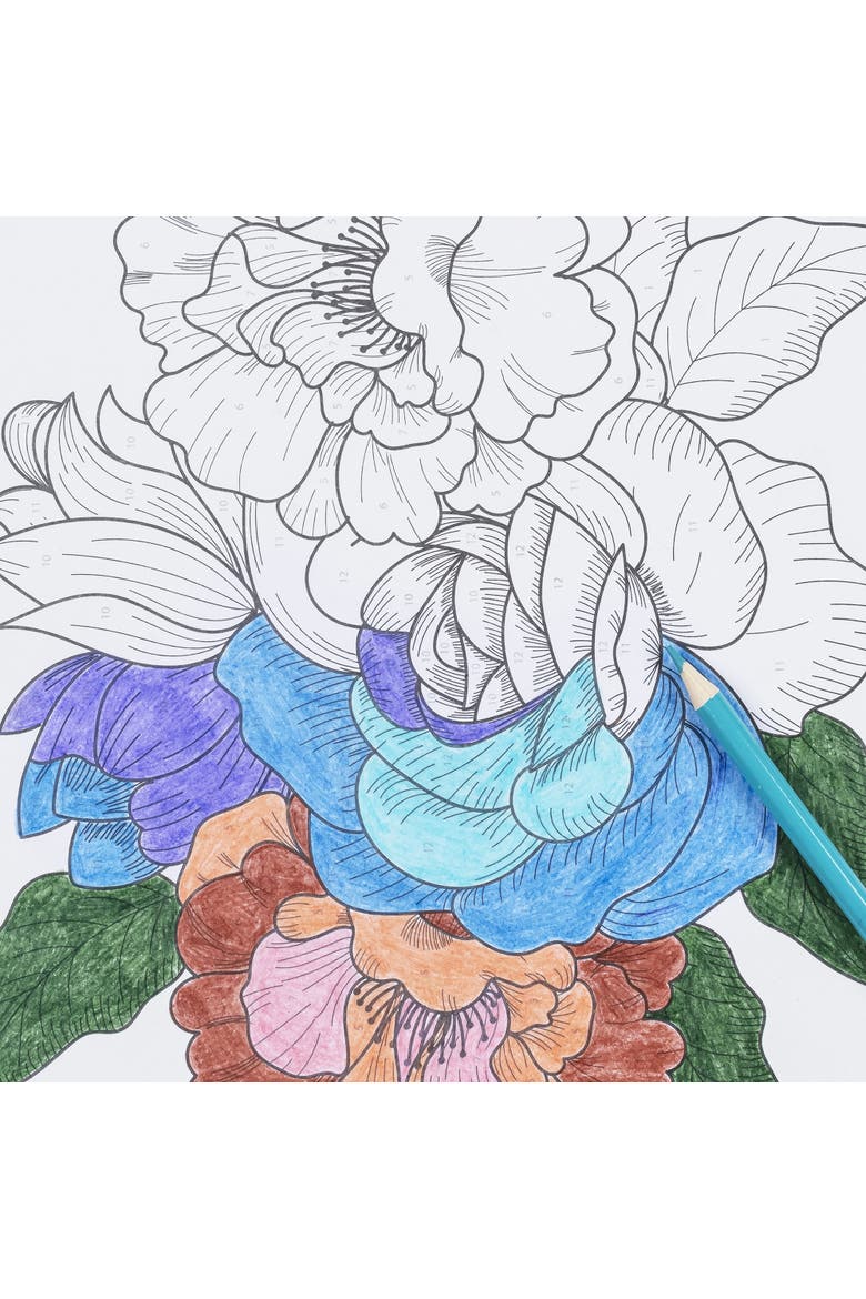 Colored Pencil Color by Number Kit Floral, Alternate, color, Multicolored