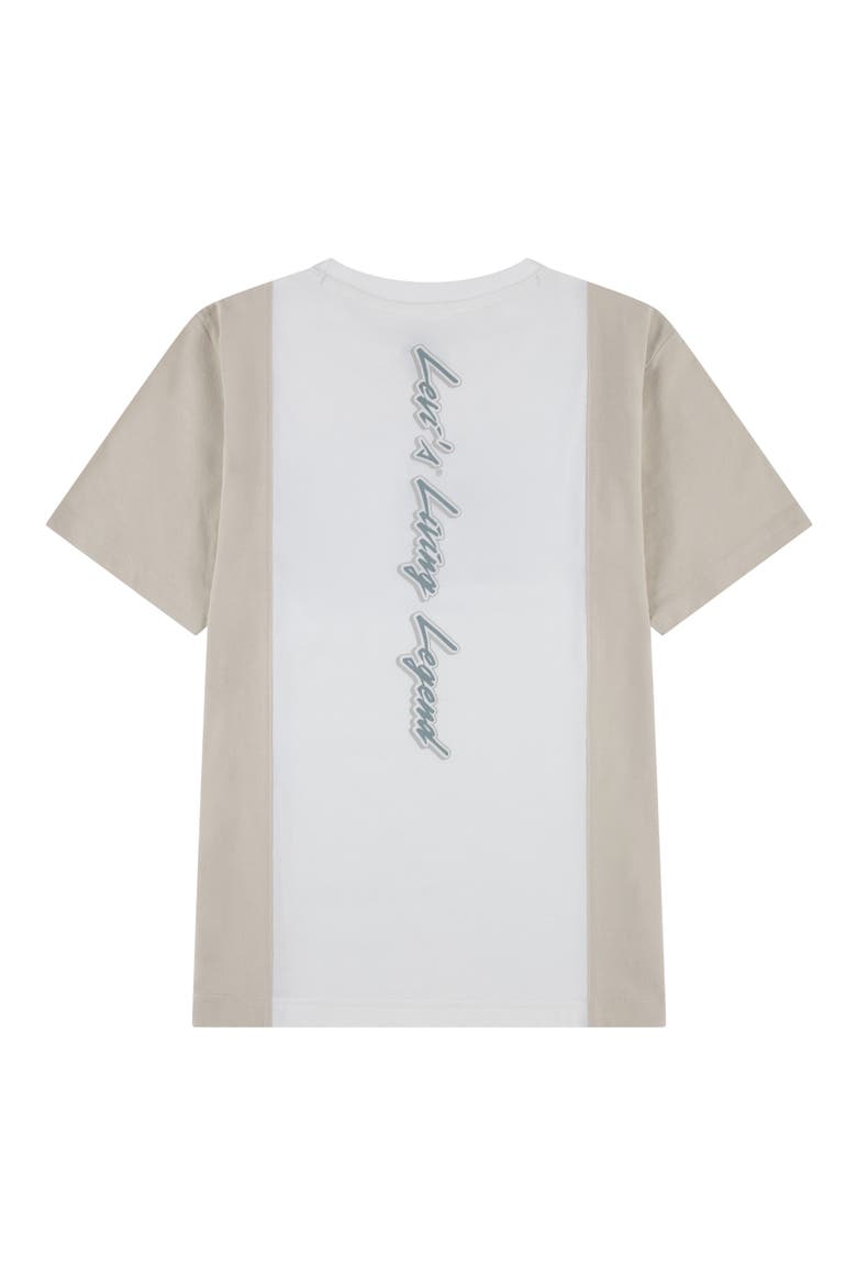 Kids' Fastlane Logo Graphic T-Shirt, Alternate, color, LEVIS EGRET