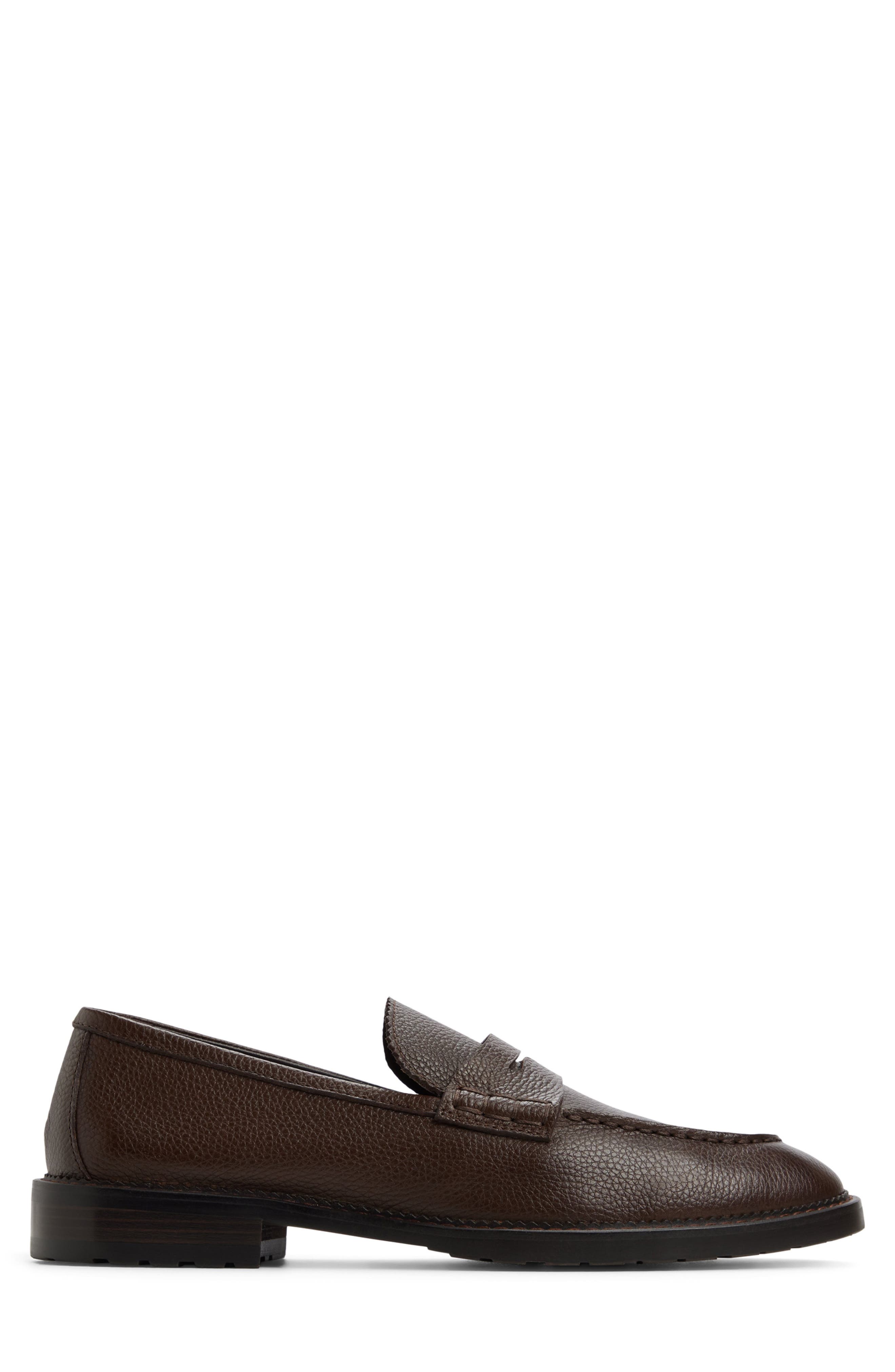 ALDO Melville Penny Loafer, Alternate, color, Dark Brown