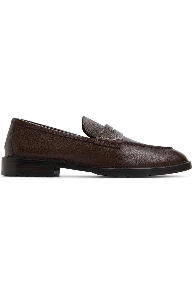 ALDO Melville Penny Loafer, Alternate, color, Dark Brown