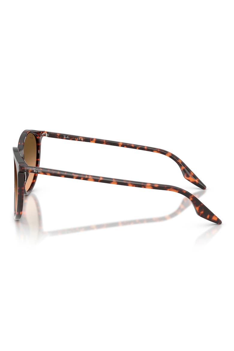 54mm Phantos Sunglasses, Alternate, color, HAVANA RED TURTLE / PINK
