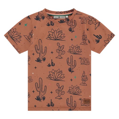 Stains and Stories by Babyface Allover Print Short Sleeve T-Shirt in Desert In Canyon  product
