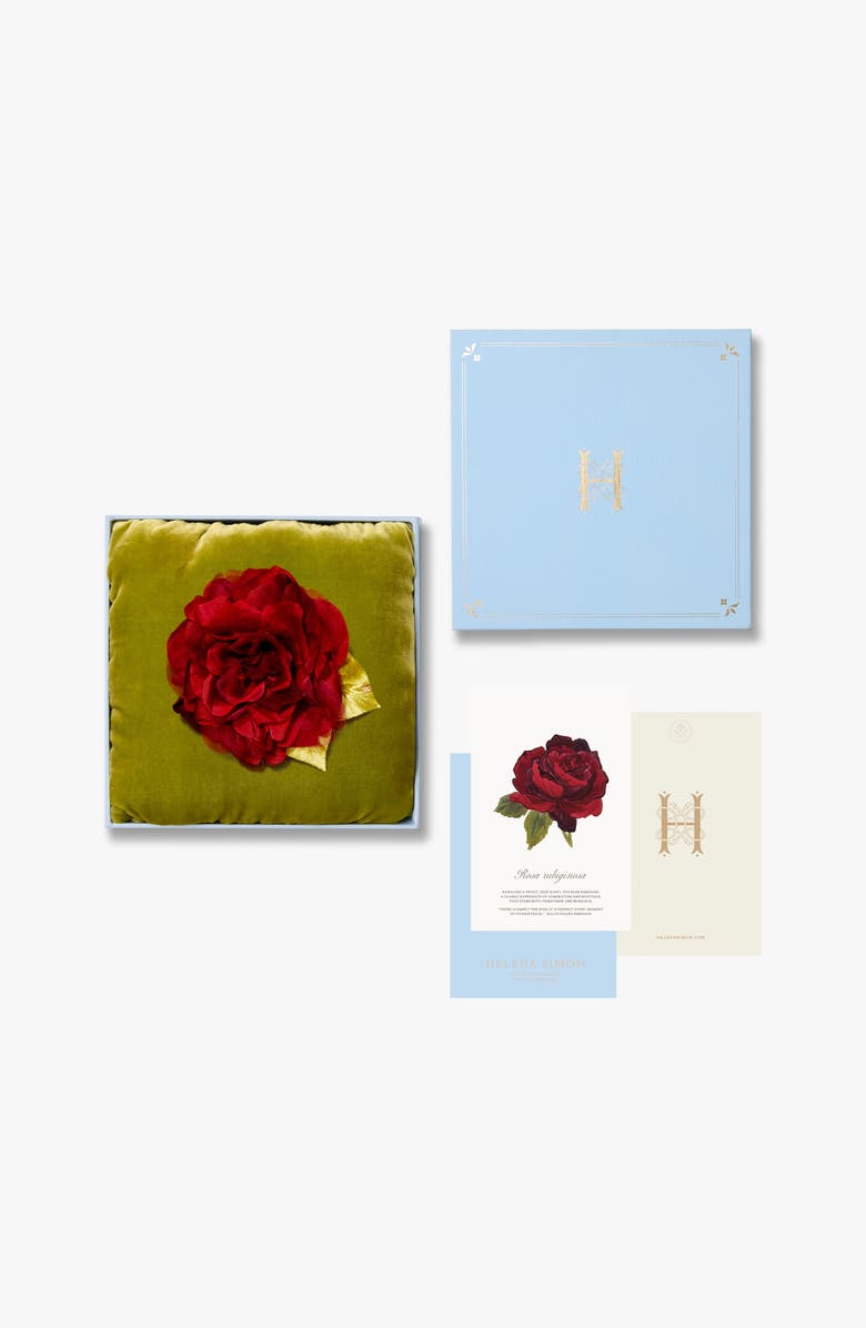 Helena Simon The Small Red Rose Floral Brooch, Alternate, color, Red