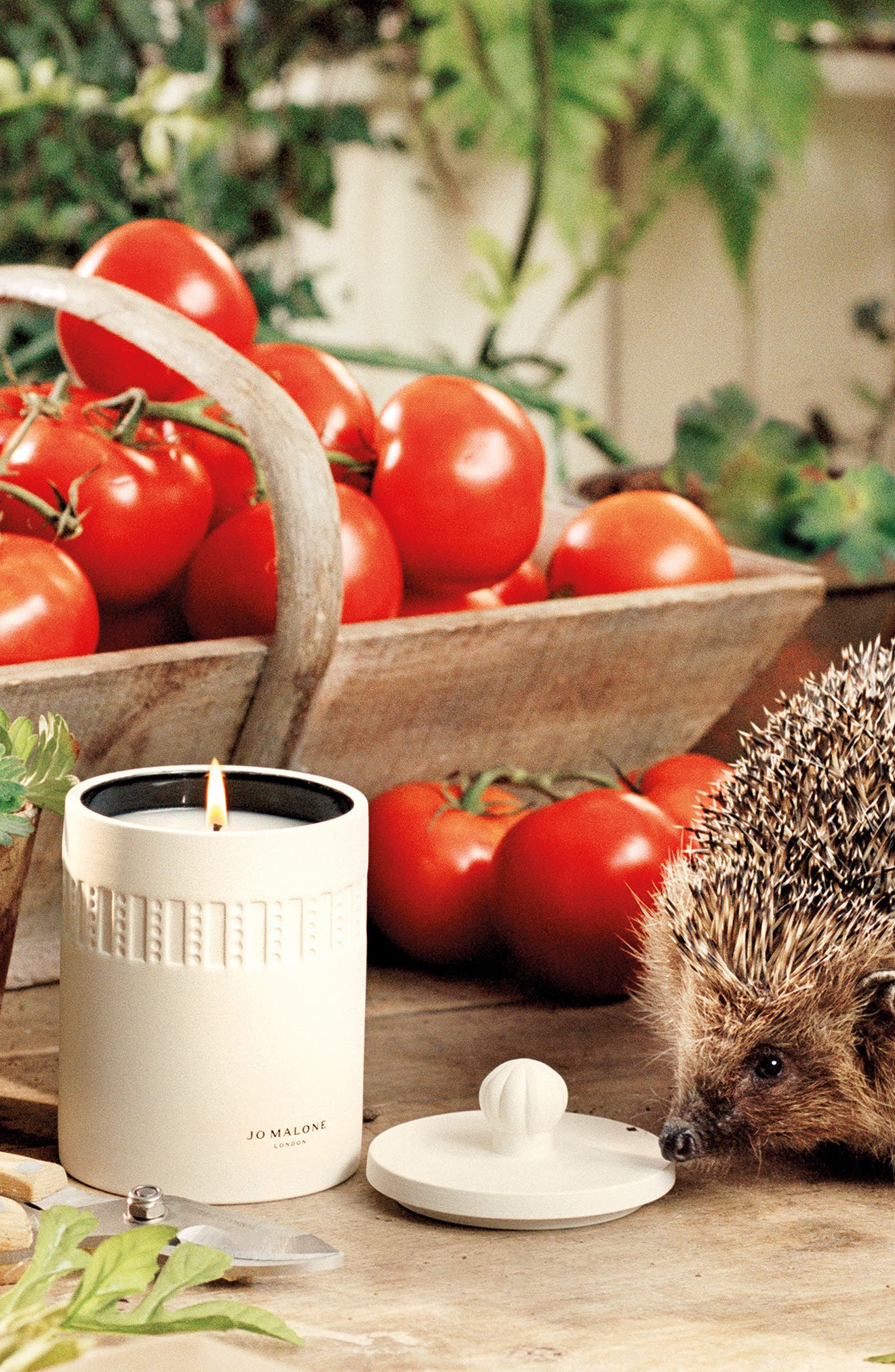 Jo Malone London™ Green Tomato Vine Scented Candle | Nordstrom