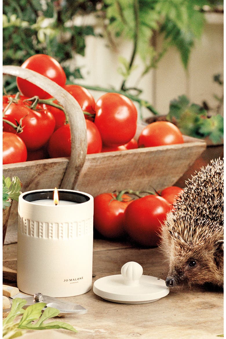 Green Tomato Vine Scented Candle, Alternate, color, NO COLOR