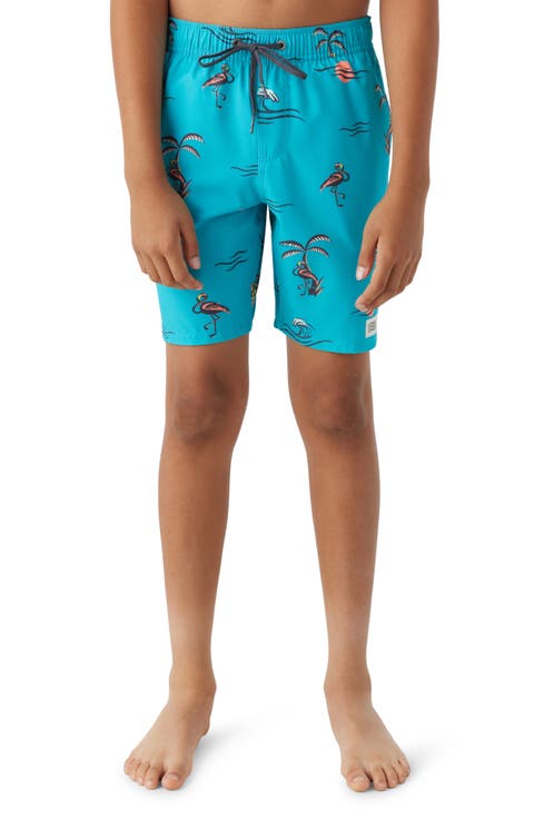 Hermosa Swim Trunks