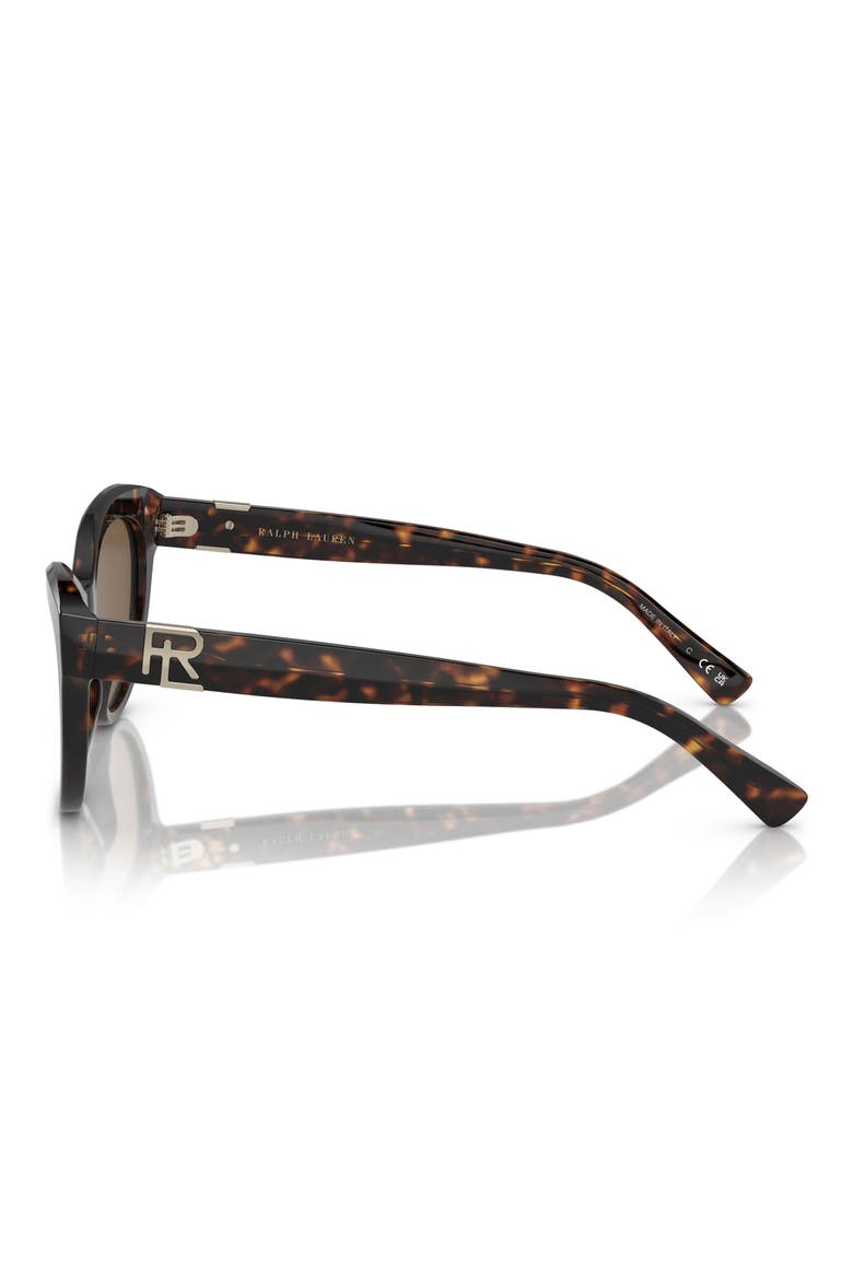 56mm Cat Eye Sunglasses, Alternate, color, HAVANA / BROWN