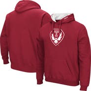 COLOSSEUM Men's Colosseum Cherry Temple Owls Arch & Logo 3.0 Hoodie