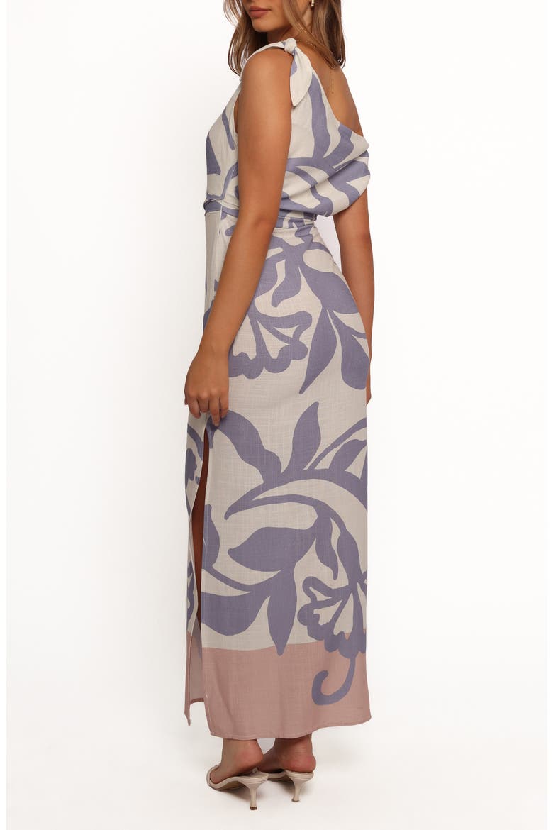 Ally Asymmetric Neck Dress, Alternate, color, SHARON