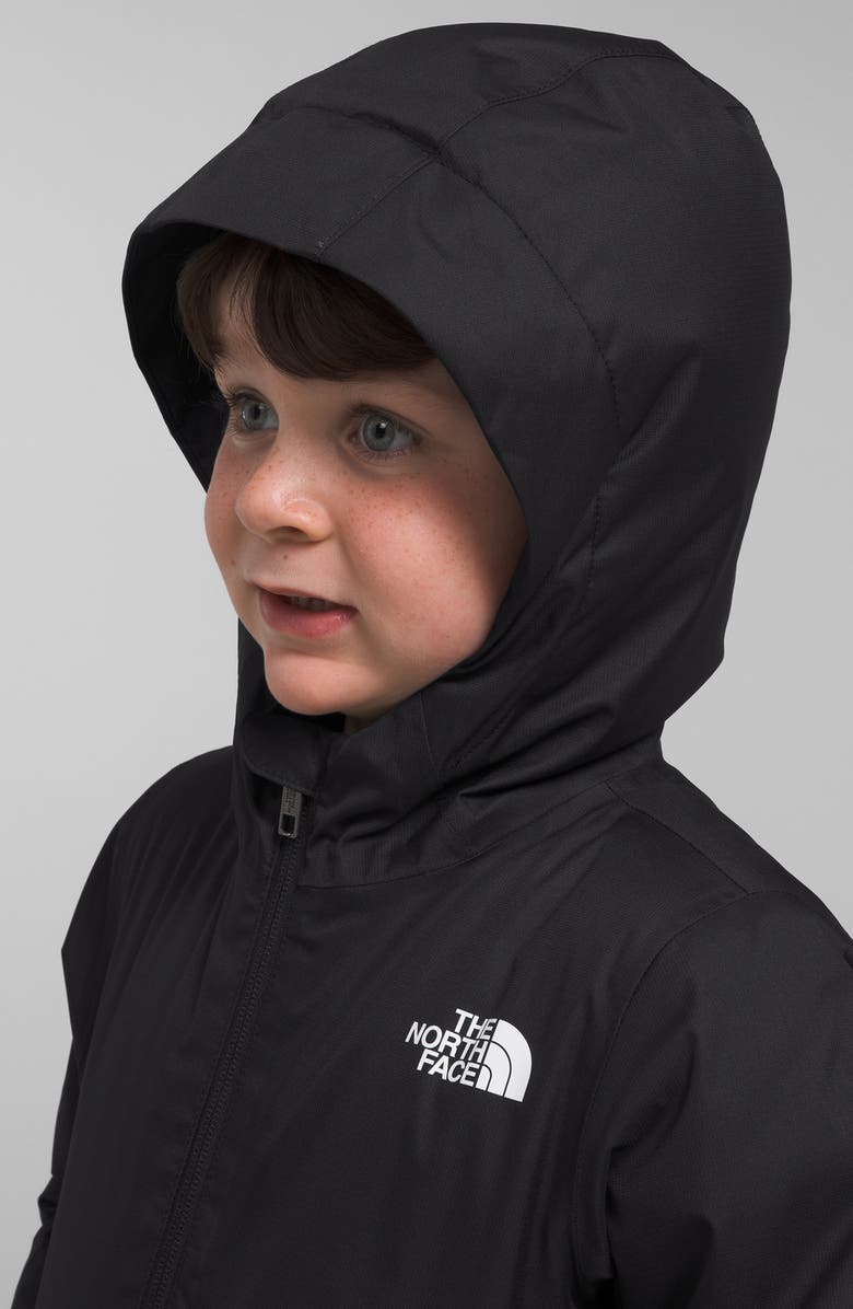 The North Face Kids' Freedom Insulated Waterproof Hooded Jacket, Alternate, color, 